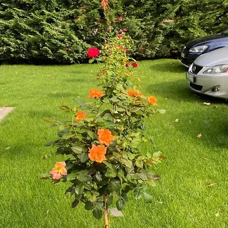 Bed and Breakfast Campana 4*