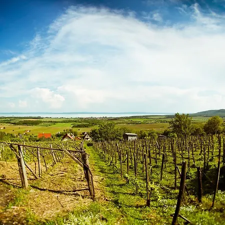 Campana Σίοφοκ