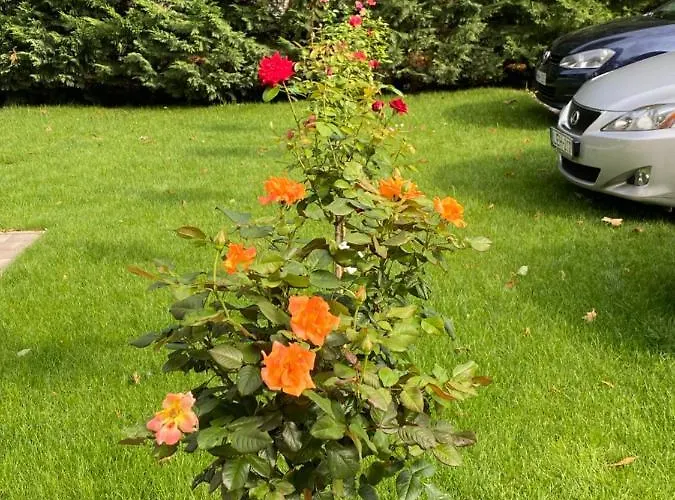 Couette-café Campana 4*